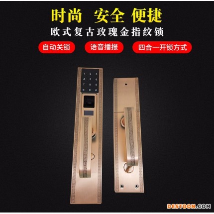 宇飛鴻智能 歐式銀色智能家居指紋鎖 防盜指紋鎖 指紋鎖 智能鎖 直銷 誠招代理