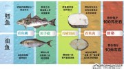 三文魚被淡水虹鱒“強攀親戚”背后 “水產(chǎn)造假嚴重程度，超出很多人想象”