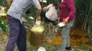 事發(fā)湖北團(tuán)林！農(nóng)田水溝驚現(xiàn)大量菜籽油，引發(fā)村民“搶”油！