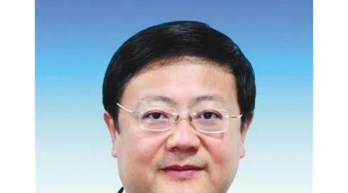 北京市長(zhǎng)陳吉寧都擔(dān)任過(guò)哪些小組組長(zhǎng)？