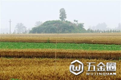 古墓現(xiàn)場圖