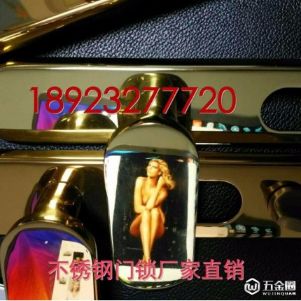 固盾原子不銹鋼304多功能執(zhí)手鎖佛山廠家直銷不銹鋼防盜門鎖多功能執(zhí)手鎖 別墅銅門鎖具室內(nèi)門拉手