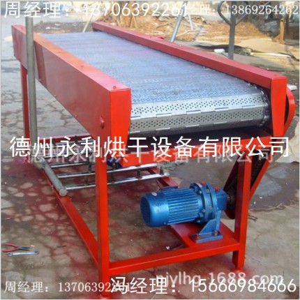 新品上市 鏈板輸送機(jī) 清洗輸送一體機(jī)