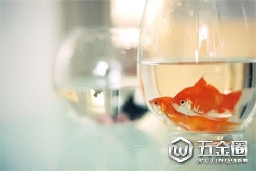 中國建材網