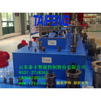 供應(yīng)泰豐插裝閥彈簧（電磁閥用DG6、DG10等）