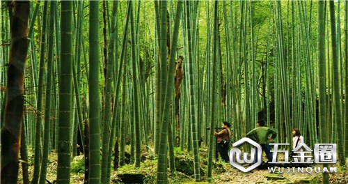 中國(guó)建材網(wǎng)